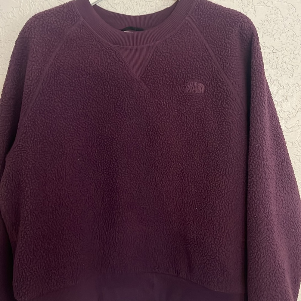 The north face sweater